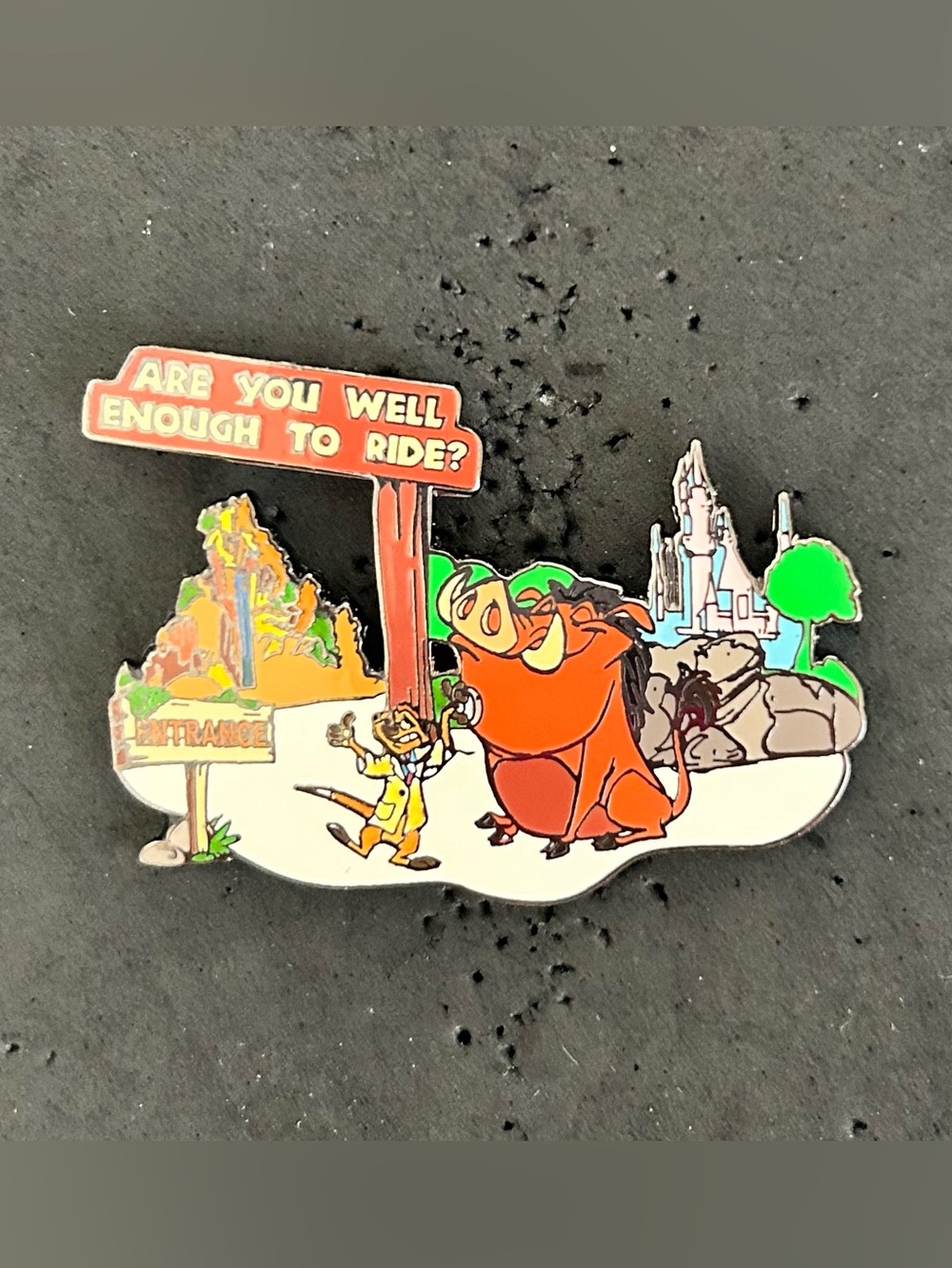 Disney Parks Wild About Safety #10 Are You Well Enough to Ride? Timon Pumbaa Pin